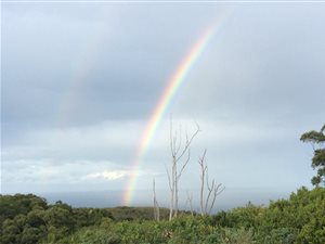 1.1 ha Land available in Pezula Private Estate