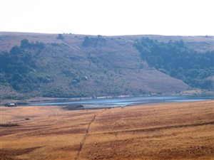 809.2 ha Farm in Newcastle Central