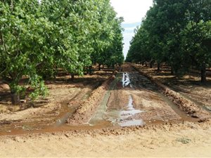 25.6 ha Farm in Hartswater