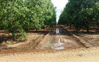 25.6 ha Farm in Hartswater