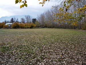 1571 m² Land available in Prince Alfred Hamlet