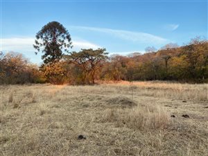 1 ha Land available in Derdepoort