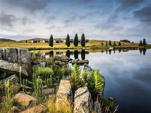 113 ha Farm in Dullstroom