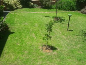 Commercial space in Willows