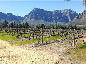 10 ha Farm in Northern Paarl