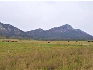 8565 m² Land available in Colleen Glen