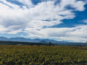 103 ha Farm in Calitzdorp