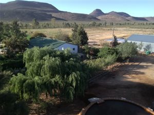 12.5 ha Farm in Touws Rivier