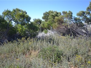 600 m² Land available in Fountains Estate