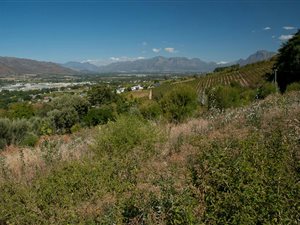1000 m² Land available in Paarl
