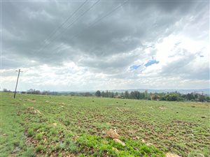 10.2 ha Farm in Walkerville