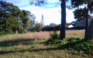 953 m² Land available in Bowtie