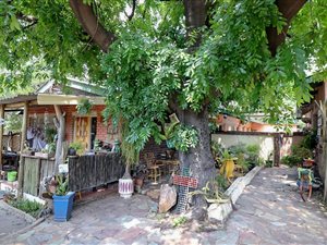 3 Bed House in Phalaborwa
