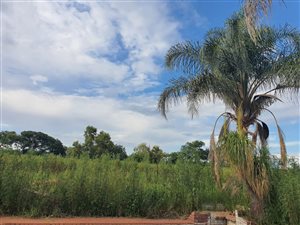 10 ha Farm in Onderstepoort