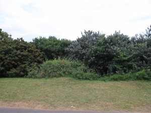 900 m² Land available in Sheffield Beach