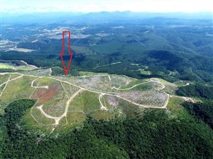 3.4 ha Land available in Pezula Private Estate