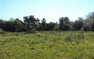 1512 m² Land available in Birdswood