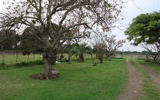 8.5 ha Farm in Cove Rock