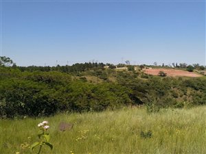 3 Bed House in Cliffdale