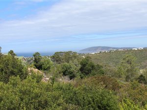 1200 m² Land available in Schoongezicht