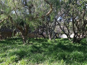 693 m² Land available in Kenton-on-Sea