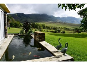 3720 m² Farm in Ladysmith