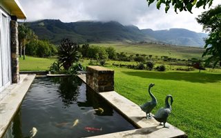 3720 m² Farm in Ladysmith