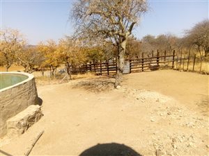 22 ha Farm in Musina