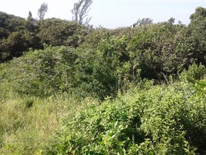 1055 m² Land available in Hibberdene
