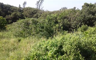 1055 m² Land available in Hibberdene