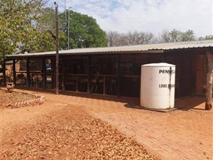 Farm in Musina