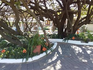 8500 m² Land available in Chartwell