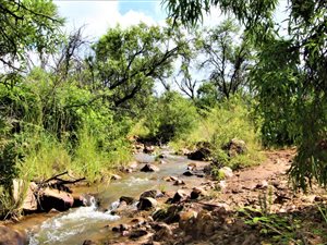 82.5 ha Farm in Modimole (Nylstroom)