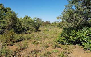 1.5 ha Land available in Kameeldrift East