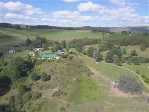 9.2 ha Farm in Underberg