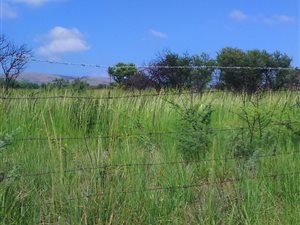 12 ha Farm in Pretoria North