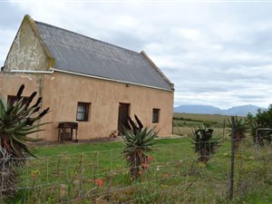 129 ha Farm in Albertinia