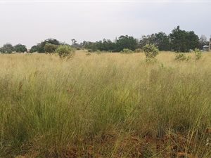 2941 m² Land available in Ohenimuri