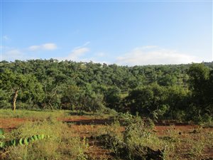 1057 m² Land available in Kranspoort
