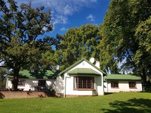 38 ha Farm in Mooi River