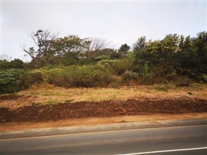 4659 m² Land available in Wyebank