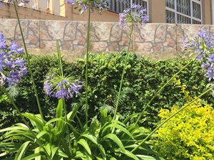 4 Bed House in Doonside