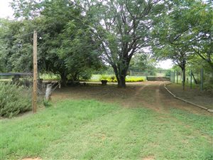 8500 m² Farm in Kameeldrift East