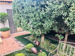 3 Bed House in Leeuwenhof Estate