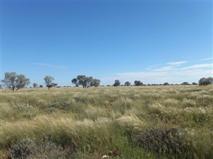 3266.5 ha Farm in Hopetown