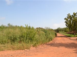 1 ha Land available in Grootfontein Estate