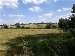 16.3 ha Farm in Riversdale