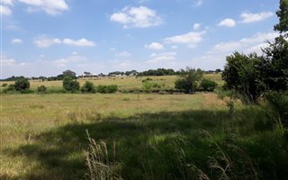 16.3 ha Farm in Riversdale