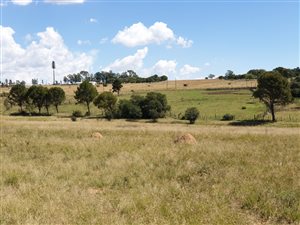 2.8 ha Land available in Farmall