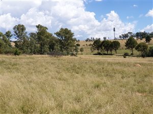 2.8 ha Land available in Farmall